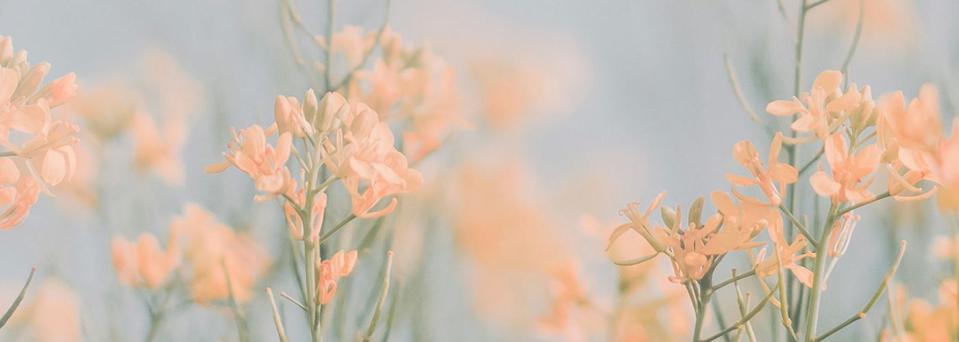 ファ環オンリー企画の記録